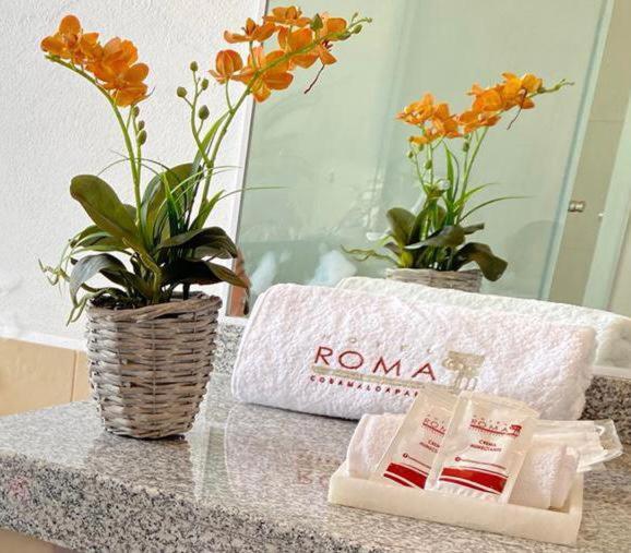 Hotel Roma Cosamaloapan de Carpio Bagian luar foto